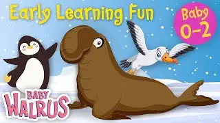 Early Learning Fun #20 | Polar Animals and their Colors 🐧 Part 3 | Educational Series