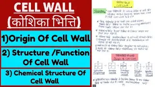 Cell Wall (कोशिका भित्ति) In Hindi || Definition, Origin, Chemical Structure, Structure, Functions