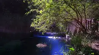 秋之祭 李正秋深情現場演唱‘逝去的戀情111‘12‘20