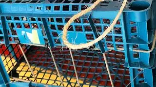 very simple DIY BROWN CRAB TRAP/ BENTOL
