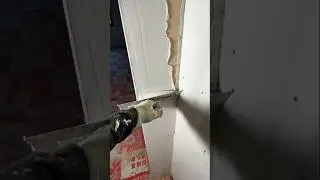 This worker plastered the corner of the wall perfectly.#shorts #construction #shortvideo #fyp