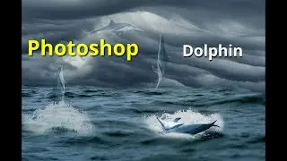 Photo Manipulation - Dolphin in the Ocean. Learning Photoshop