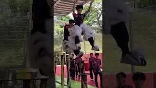Practice - Singapore Xuan Wei Dragon And Lion Dance  - Telok Blangah CC