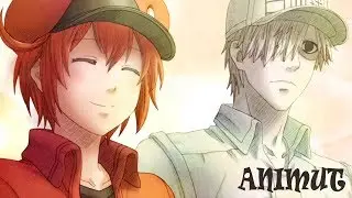 Red Blood Cells (Erythrocyte) Funny Moments [Hataraku Saibou]