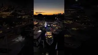 Nightfall on the water, and the Princess lineup glows with an unmistakable presence.