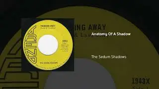 The Sedum Shadows | Anatomy Of A Shadow