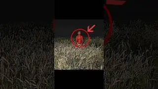 Если увидите эту фигуру на кукурузном поле... БЕГИТЕ! | #scary #backrooms #creepypasta
