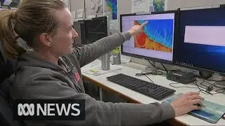 Scientists map deep sea canyons off the northern Great Barrier Reef | ABC News