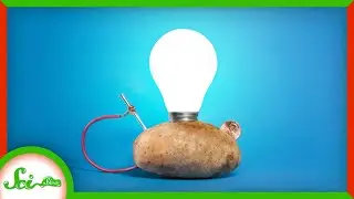 Why Haven't We Built a Better Battery?