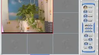 Web Camera Recording Software for Windows XP Free Download Webcam Capture Freeware