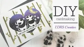 LDRS Creative | Игра с пандой | Открытка с сердечком