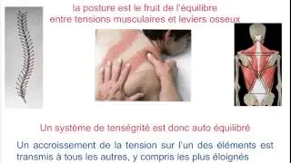 3 - Qu'est ce qu'un Trigger Point (Début de la formation de 2 jours) - Alain Marzolf