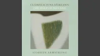 Seabhac Na H&Eacute;irne