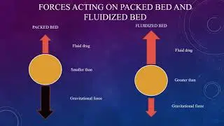 Flow of fluids through packed bed and fluidized bed.
