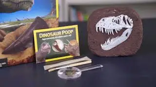 National Geographic Dino Dig Kit