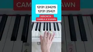 Se&ntilde;orita - Camila Cabello & Shawn Mendes (Piano Tutorial) #easypianotutorial #pianobeginner