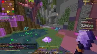 Hypixel Skyblock - Duo m6  because why not