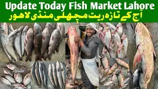 Update Fish Market Lahore |Lahore Machli Mandi |Today new rate list fish market|Latest video machli