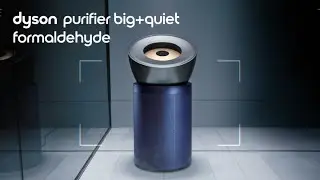 Introducing the Dyson Purifier Big+Quiet&trade; Formaldehyde