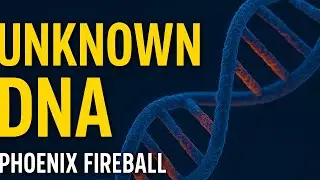UNKNOWN DNA: The Hidden Evidence That Could Set #KOHBERGER FREE in the #Idaho4 Case