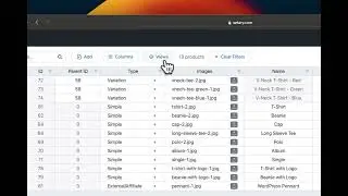 How to have multiple workspace views with WooCommerce in Setary