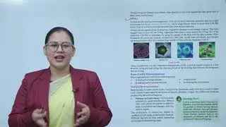 Ch 2 | Discovery Books | Sense & Science | Class 8 | Microorganisms | For children