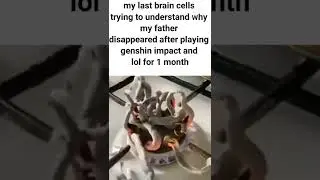 genshin impact players be like