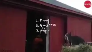 Vergudos