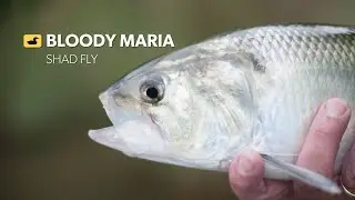 Fly Tying Tutorial: Bloody Maria