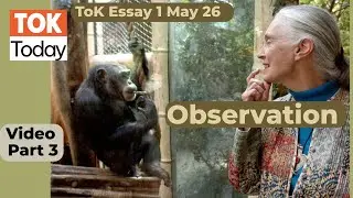 Эссе ToK №1 26 мая: Наблюдение, часть 3/3
