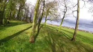Back to the trees with the Dalprop 5046C triblades