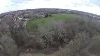rose bridge field