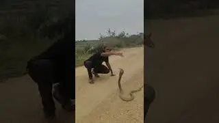 ###indian spectacle Cobra release in forest#Abbas Vlogs 313####