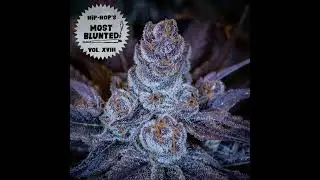06 DJ Slim ft  Ripshop   Mary Jane