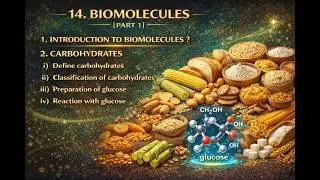 14. BIOMOLECULES PART1 ANIMATION I Class 12 I Maharashtra board