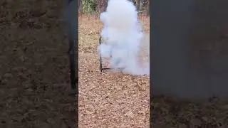 firebird 65 bio exploding target