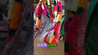 perela festival in gorentla