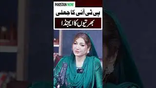 Разоблачена фальшивая программа вербовки PTI #pti #imrankhan #exposed #PIA #shortsfeed #shorts #v...