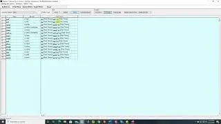 Tutorial 23:  Morphophonemic rules for Circumfixes