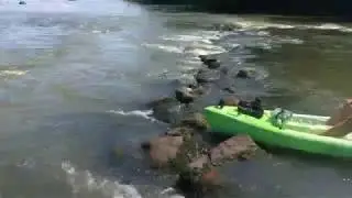 Native American Fishing Weir on the PeeDee