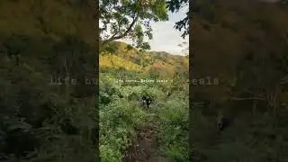 life hurts,nature heals