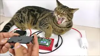 Pi4B