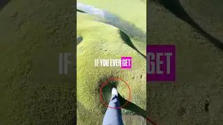 Weird Lawn Bubble 😰