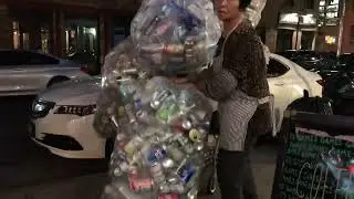 Amazing Queen of Recycling