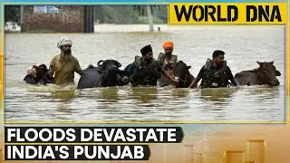 Punjab Floods: State Declared Disaster-hit; Over 1,200 Villages Submerged | World DNA | WION