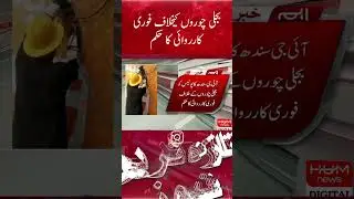 Order of immediate action against electricity thieves