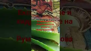 Ексфолиране и хидратиране