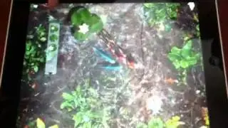 iPad - Pocket Pond