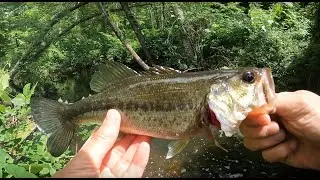 Continued my exploration for fun and good fishing spots near Chappaqua, NY. (part 2 of 3)