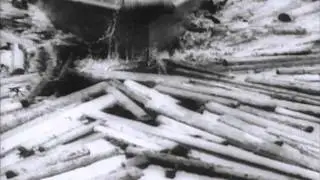 Canada's Logging Industry Rushes Timber for War